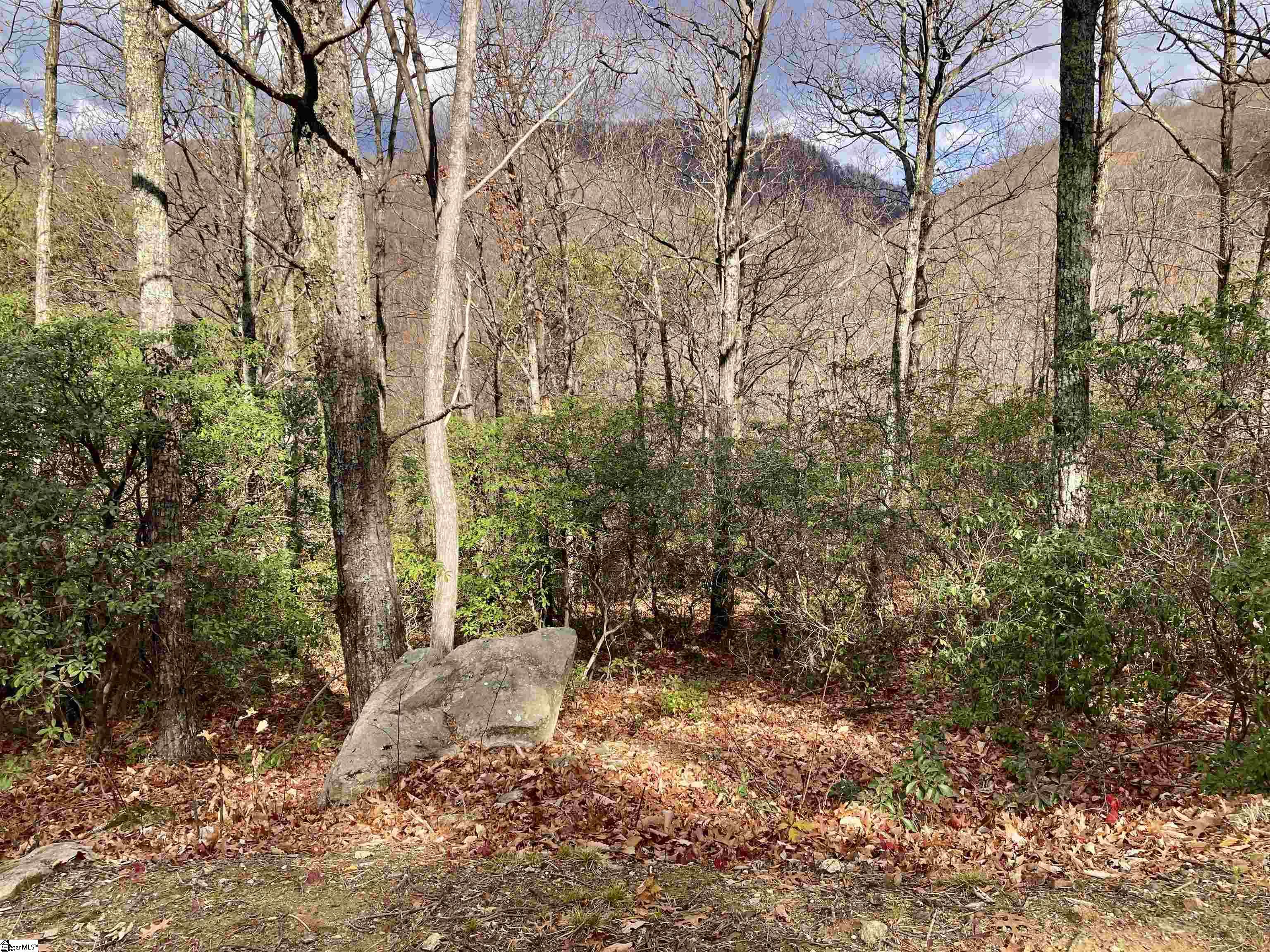 901 Mountain Summit, Travelers Rest, South Carolina image 1