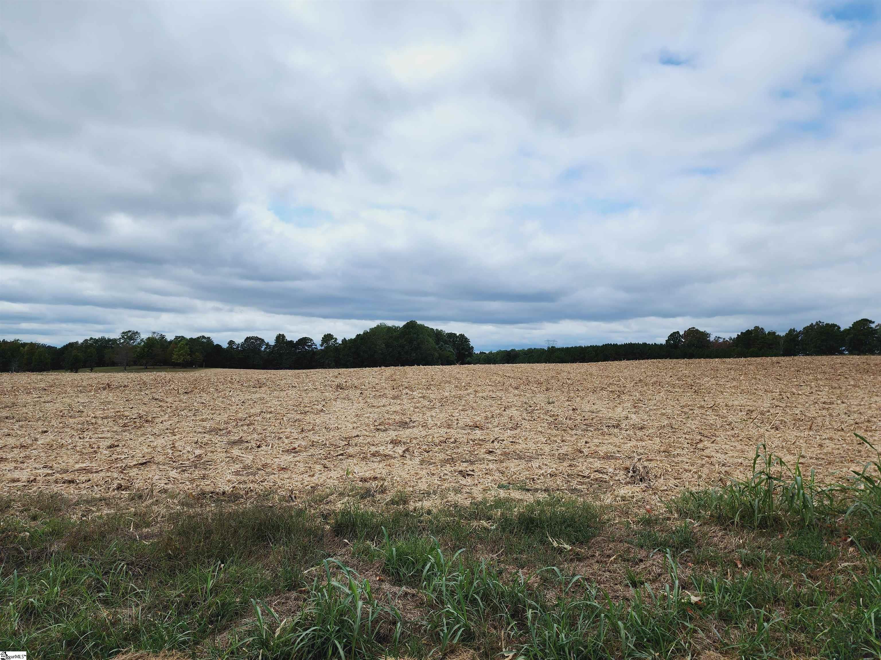 1027 Rabbit Moffitt Road, Chesnee SC 29323