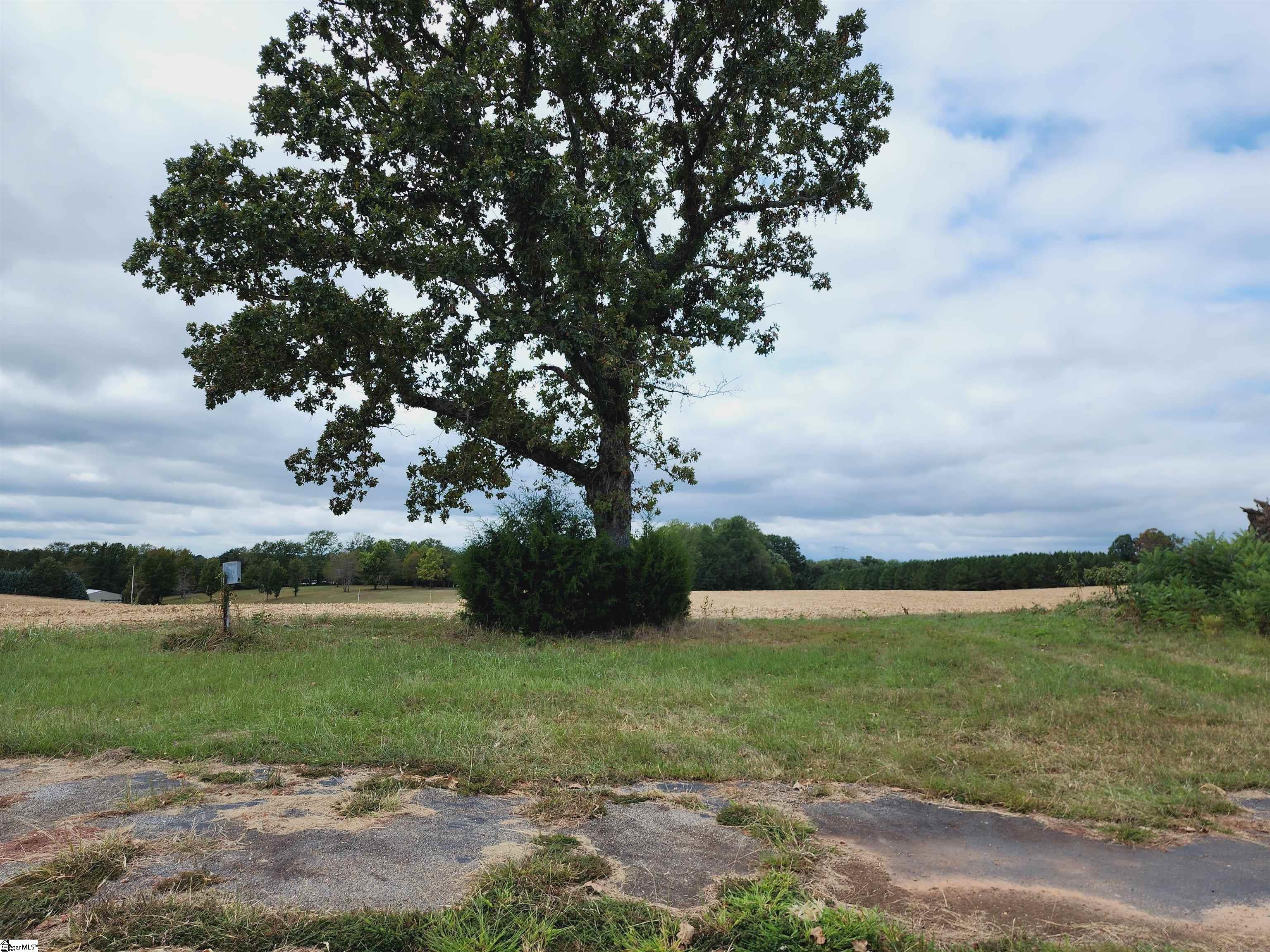 1021 Rabbit Moffitt Road, Chesnee SC 29323