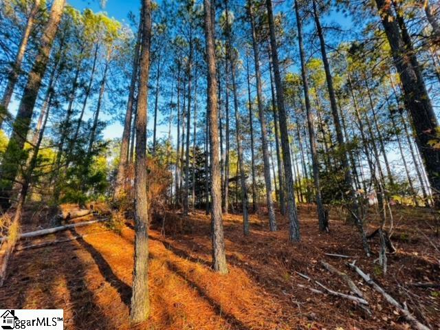 711 Eagles Harbor Drive, Hodges SC 29653