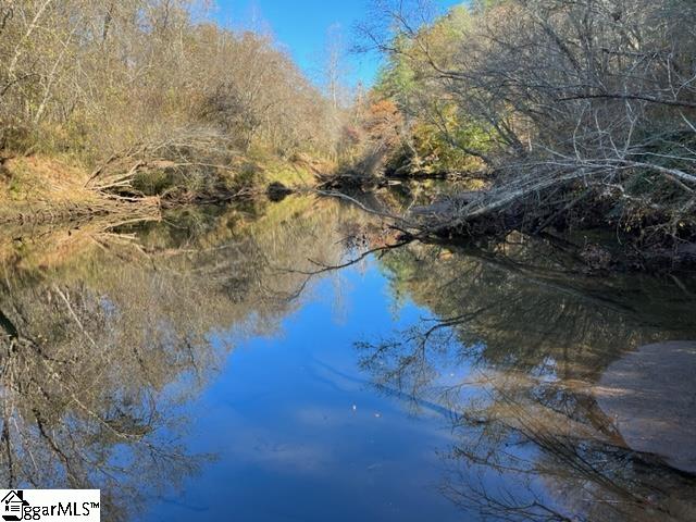 TBD Shady, Mill Spring, North Carolina image 2