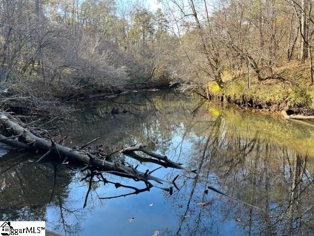TBD Shady, Mill Spring, North Carolina image 3