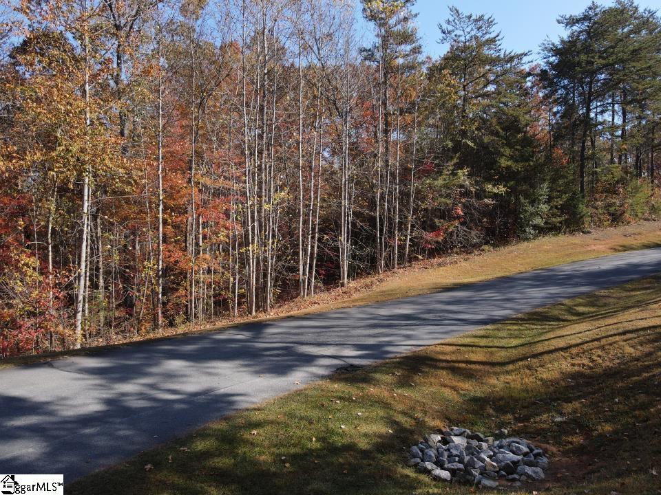 505 Scharlin Drive, Pickens SC 29671