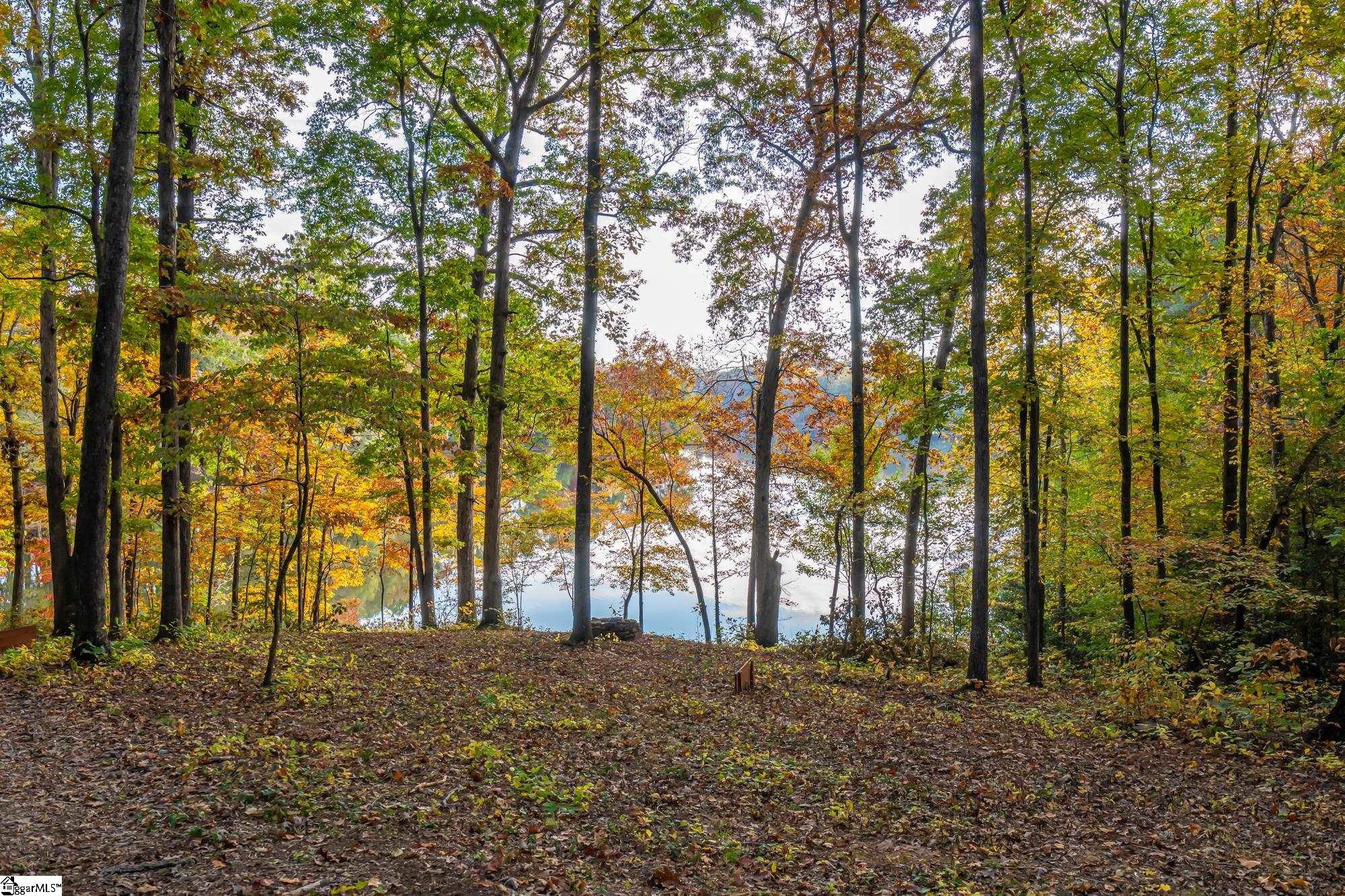 151 Hammond Drive Taylors, SC 29687