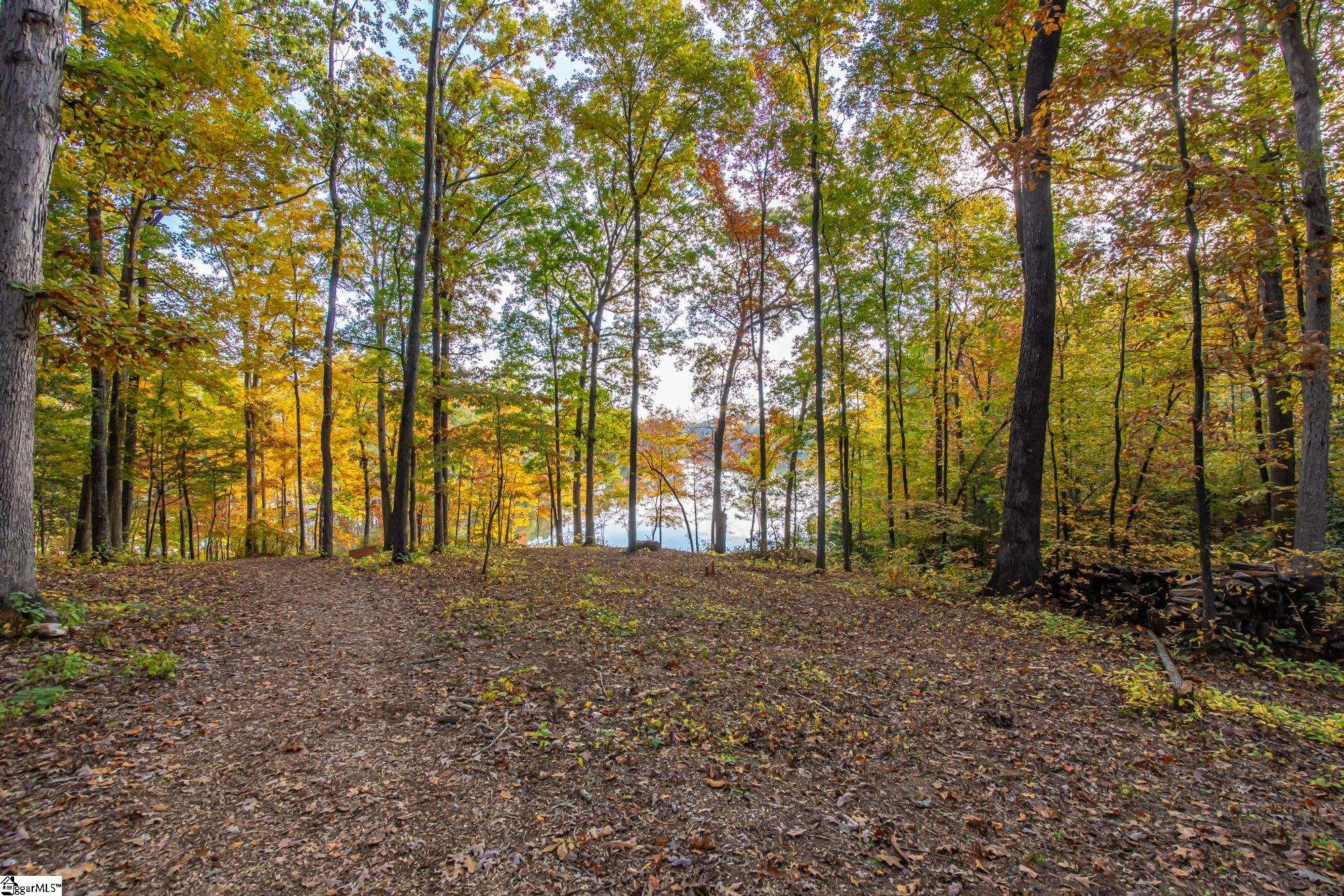 151 Hammond Drive Taylors, SC 29687