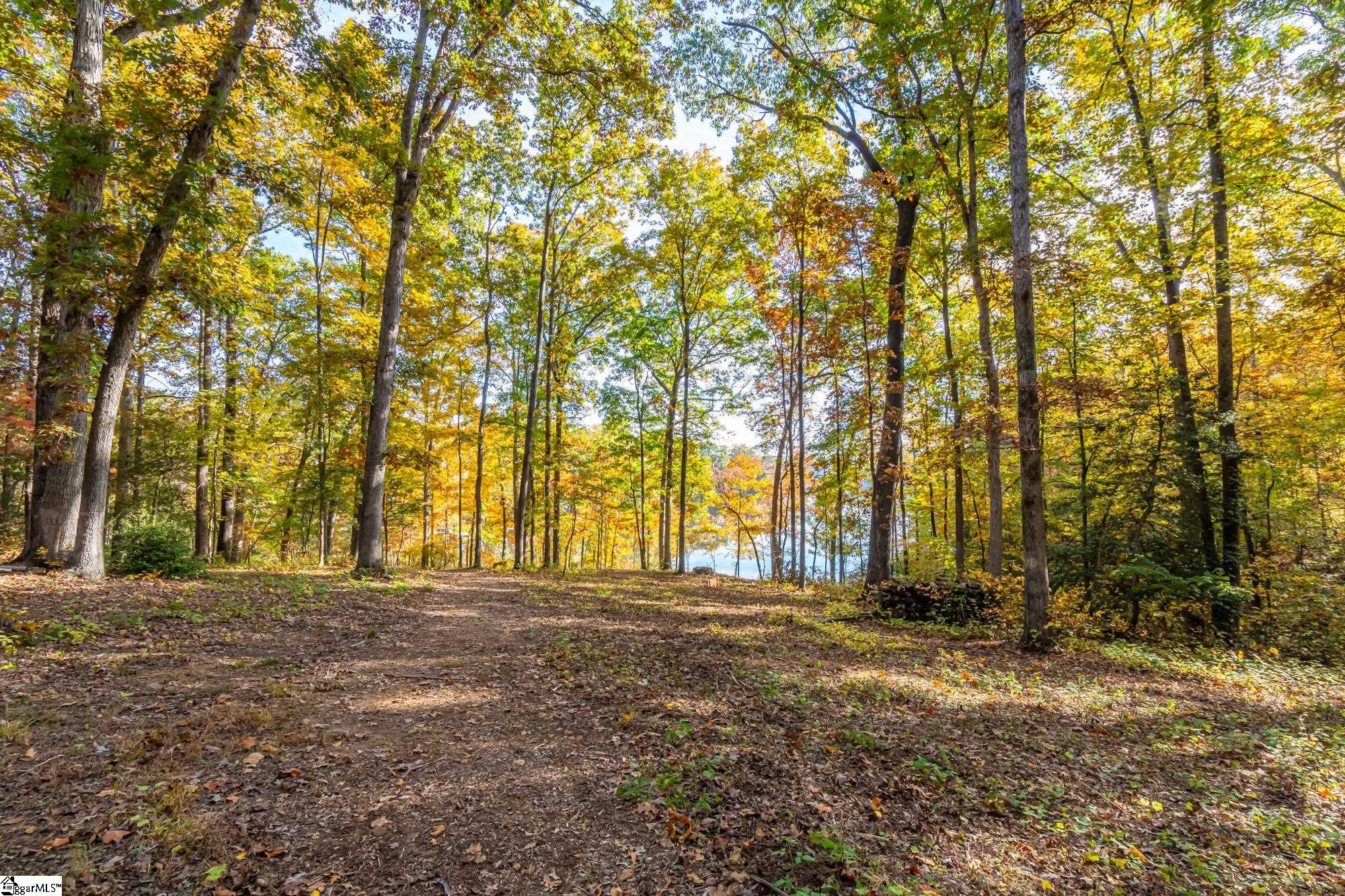 151 Hammond Drive Taylors, SC 29687