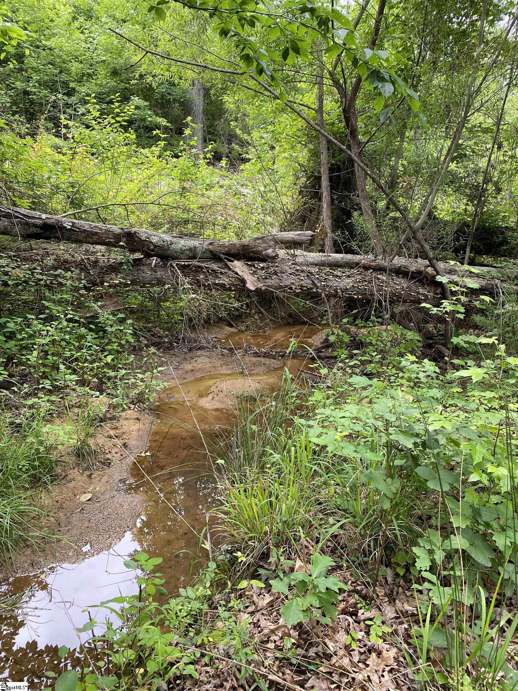 109 Phillips Lane Lot 1, Fountain Inn SC 29644