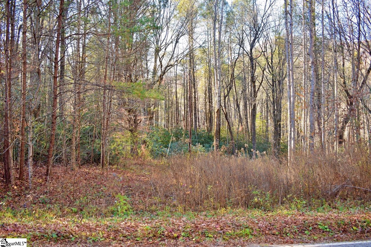 0 Gap Creek Road, Marietta SC 29661