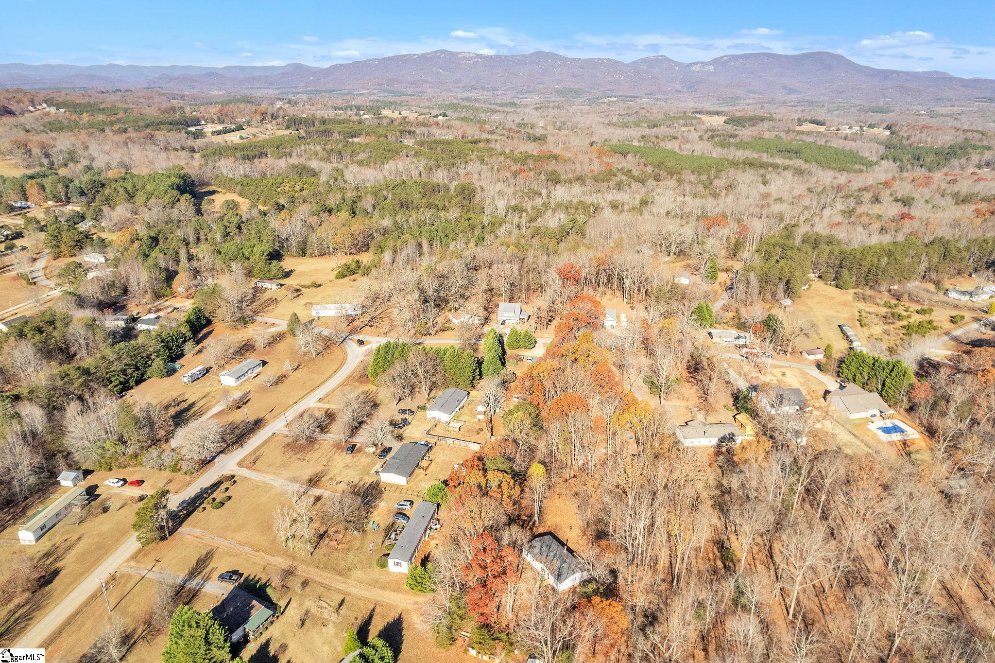 238 Pink dill Mill