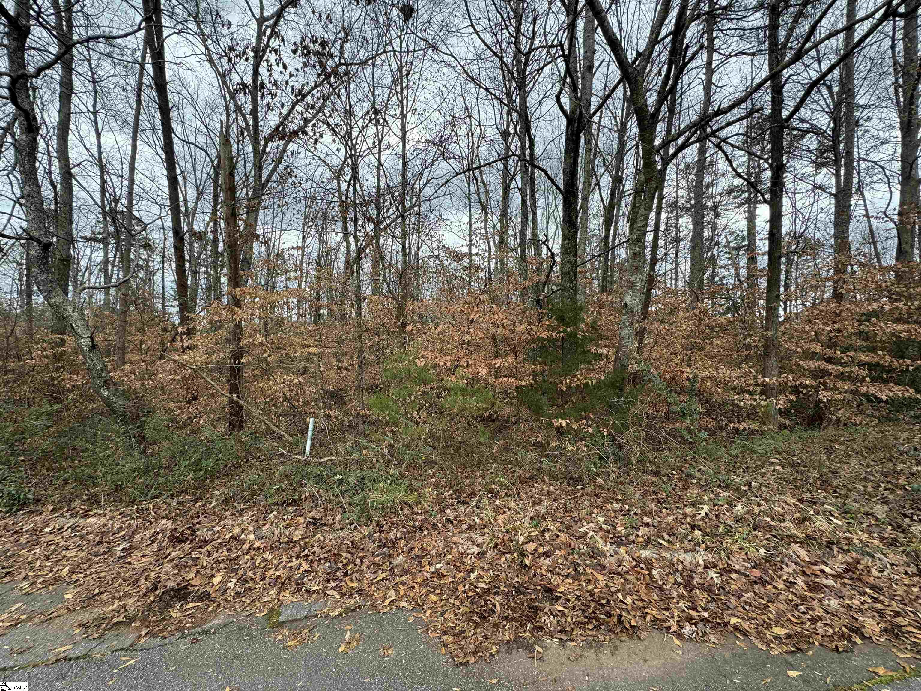 128 Willow Pond Lane, Piedmont SC 29673
