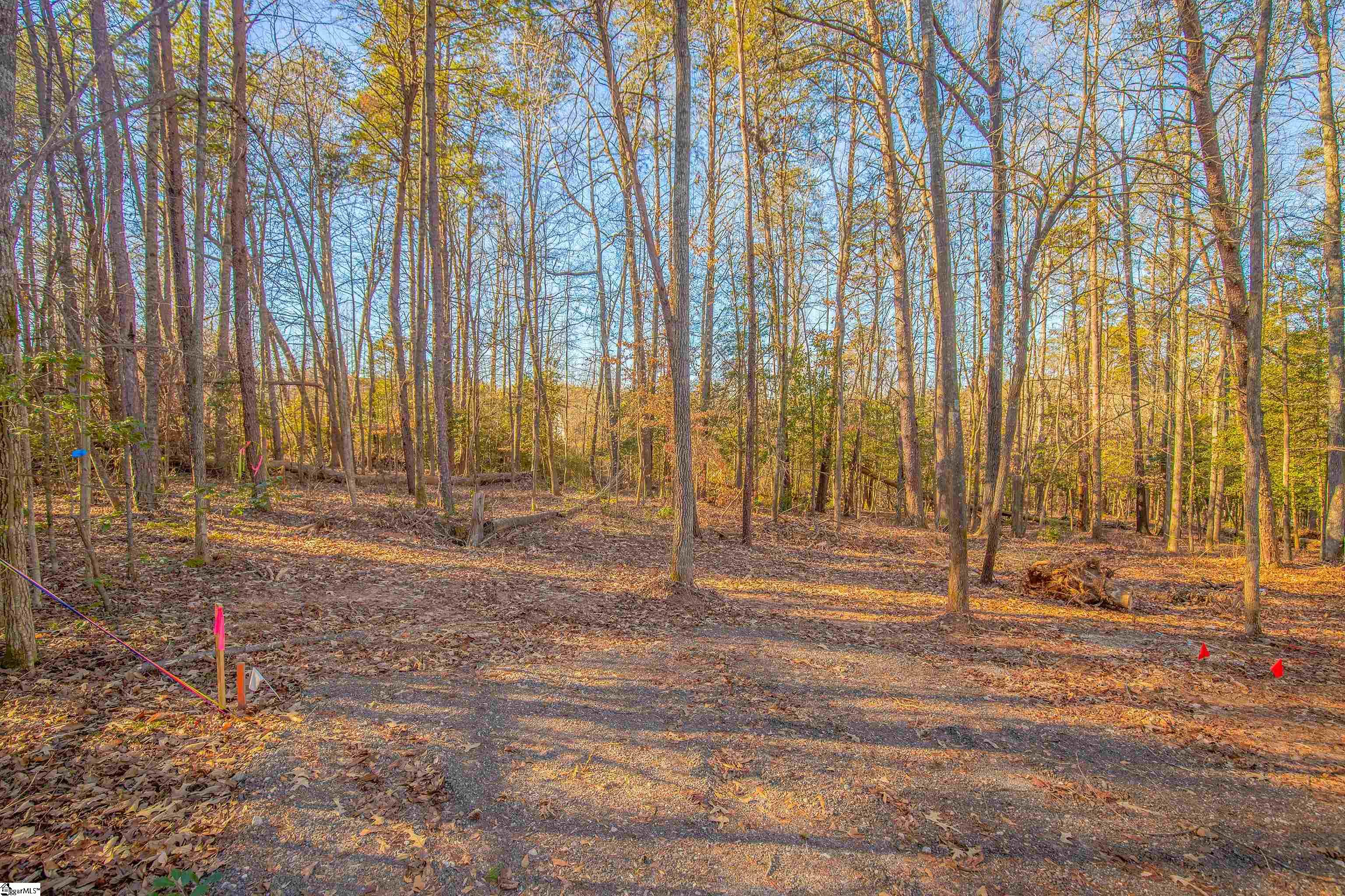 1009 Center Road, Taylors SC 29687