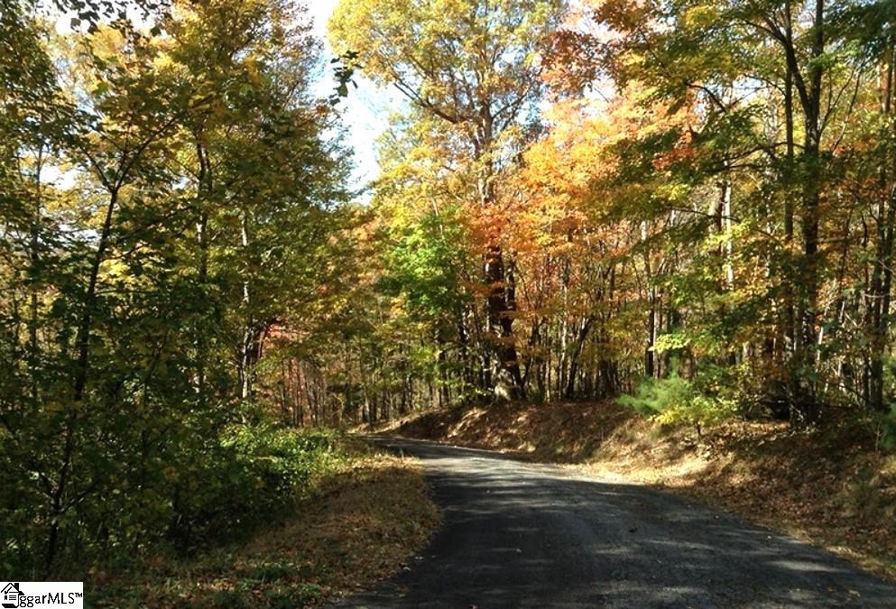 Laurel Hill, Landrum, South Carolina image 7