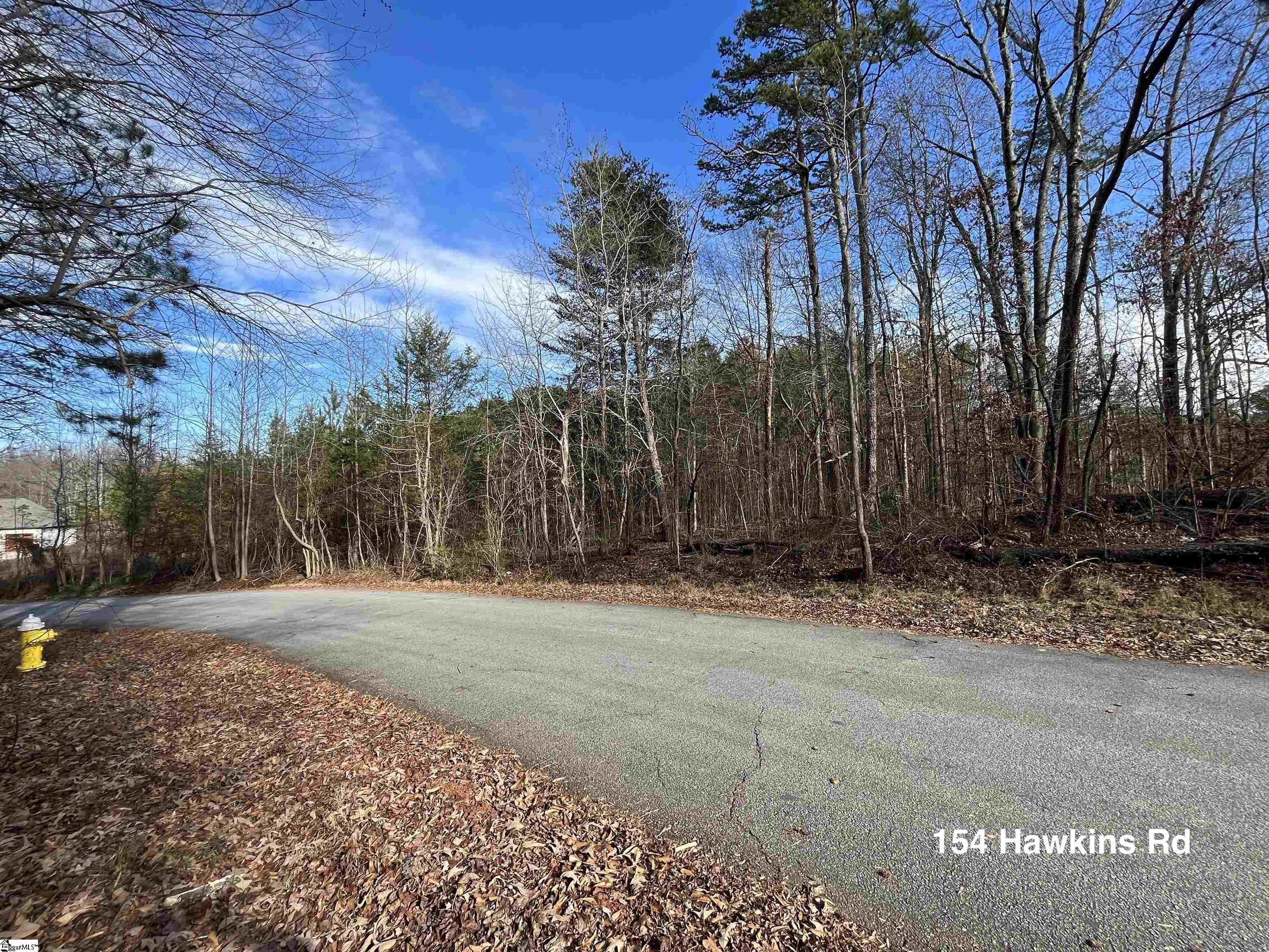 154 Hawkins Road, Greenville SC 29615