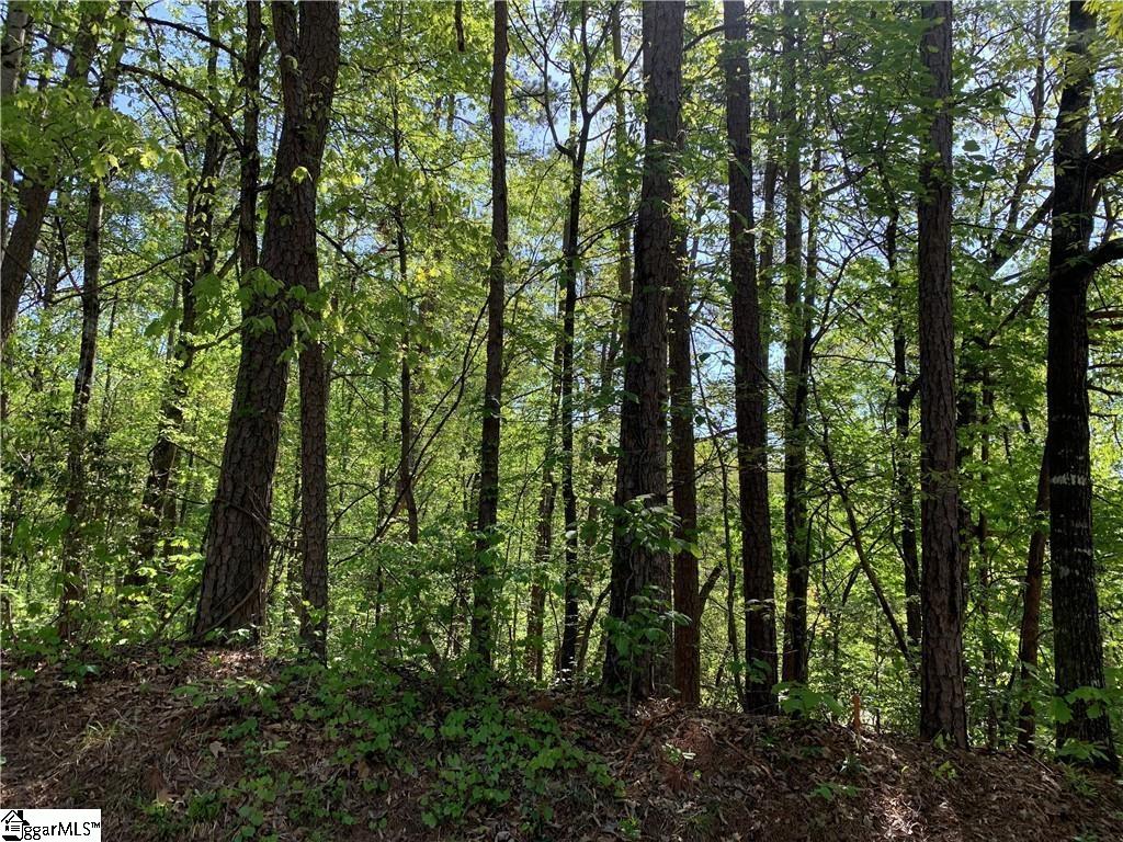 2 Straits Court, Salem SC 29676