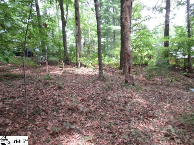 425 Whispering Falls, Pickens, South Carolina image 2
