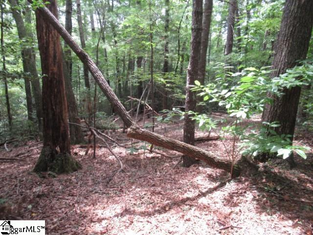 425 Whispering Falls, Pickens, South Carolina image 12