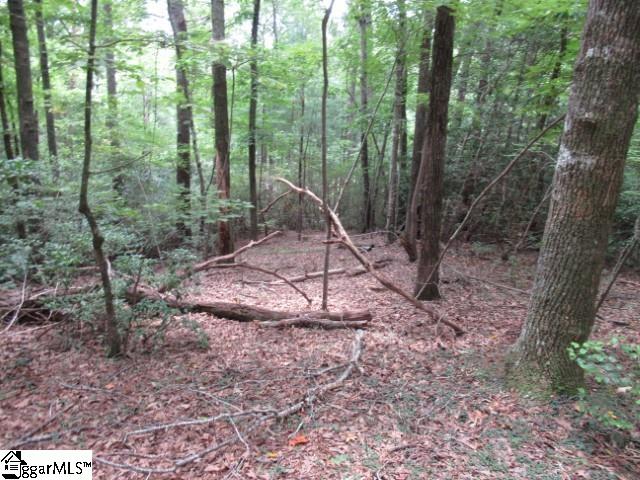 425 Whispering Falls, Pickens, South Carolina image 13