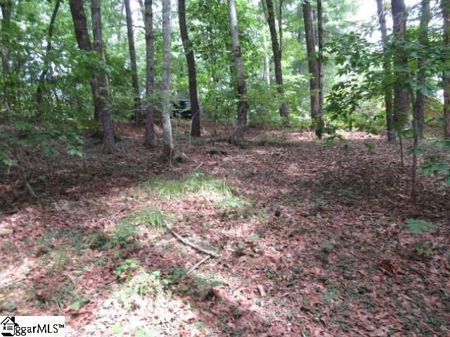 425 Whispering Falls, Pickens, South Carolina image 15