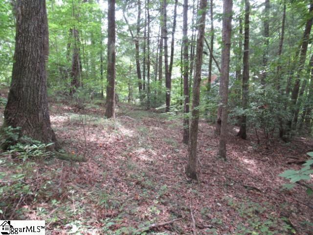 425 Whispering Falls, Pickens, South Carolina image 6