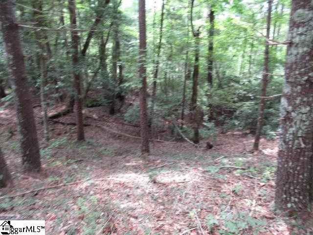 425 Whispering Falls, Pickens, South Carolina image 7
