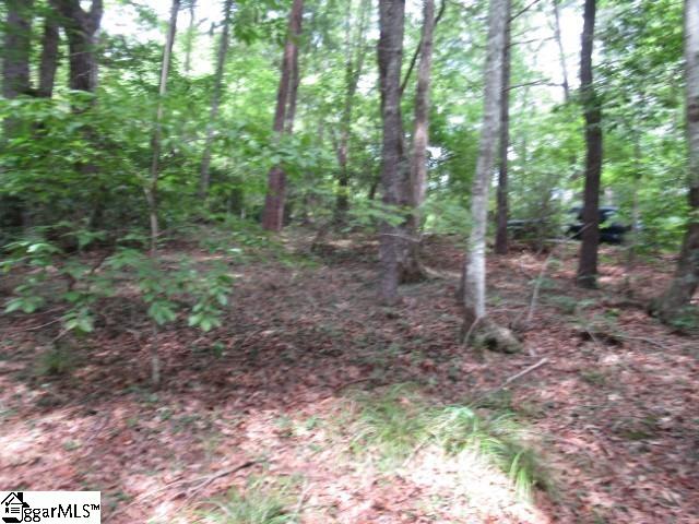 425 Whispering Falls, Pickens, South Carolina image 8