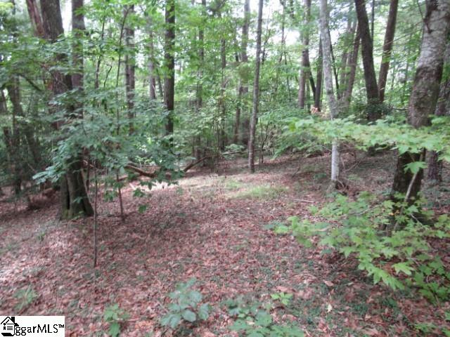 425 Whispering Falls, Pickens, South Carolina image 10