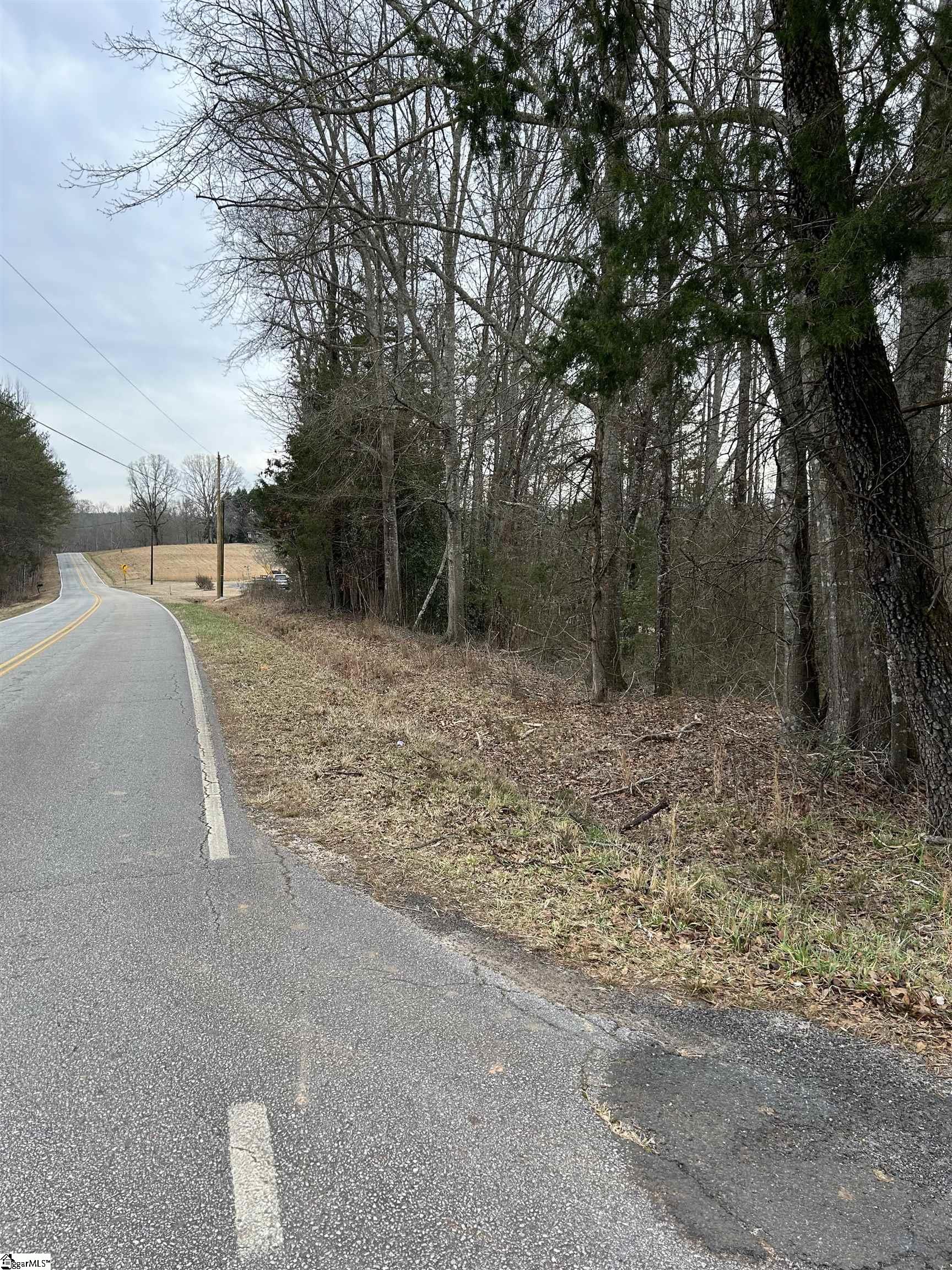 00 Corner Of Creek View And Stewart Gin Drive, Liberty SC 29657-000