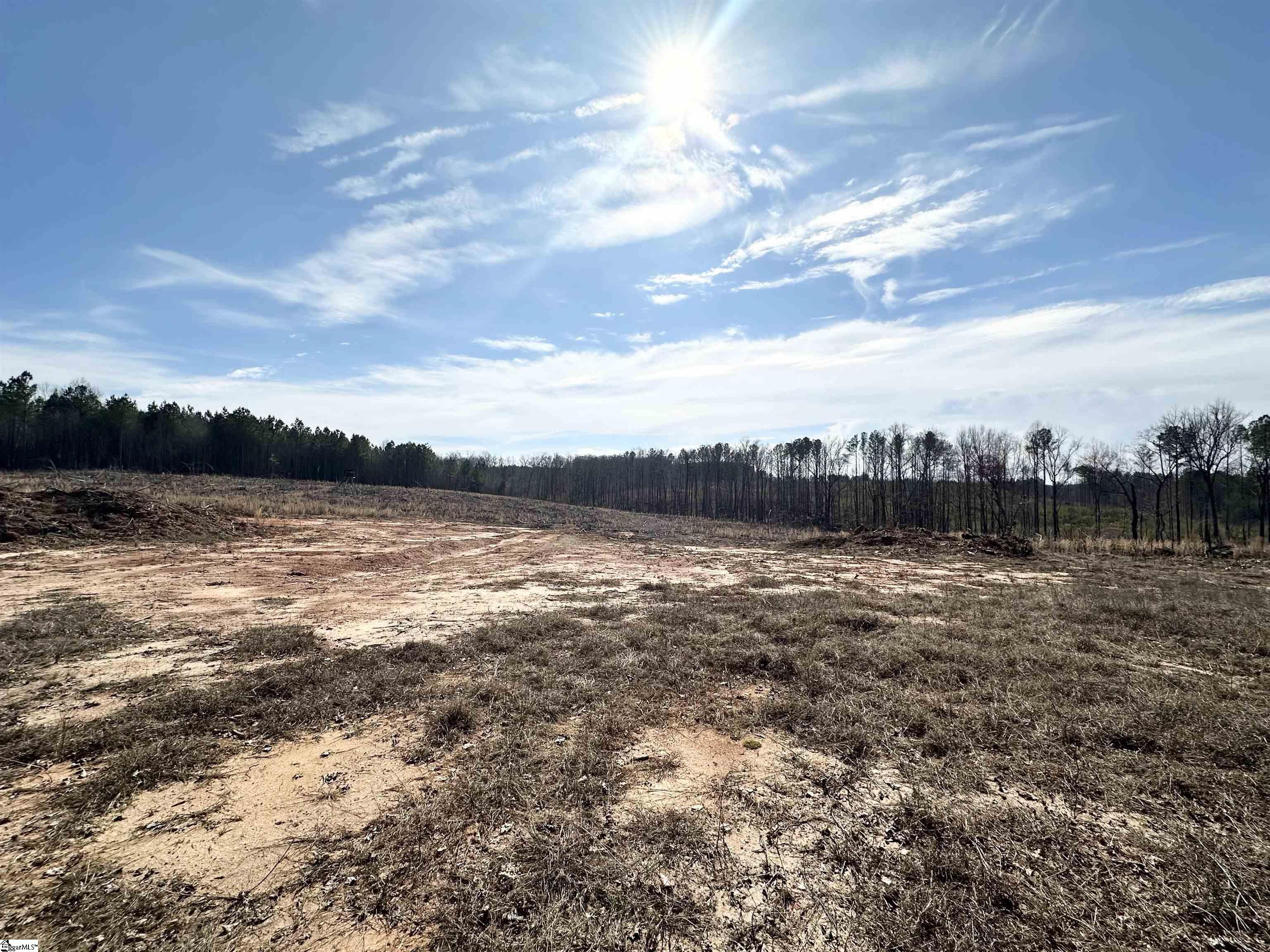 0000 Penland, Laurens, South Carolina image 1