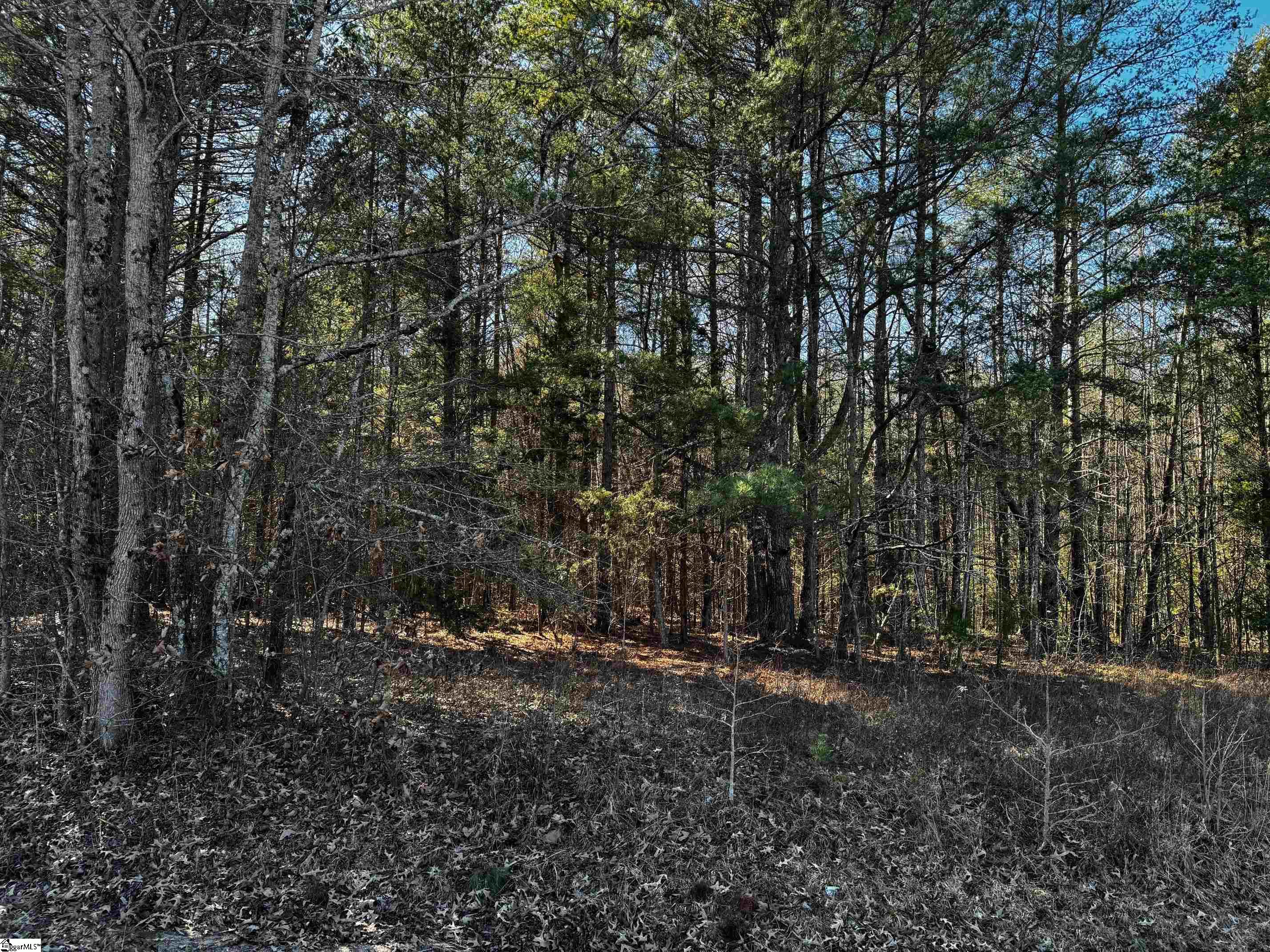 00 Corner Road, Belton SC 29627