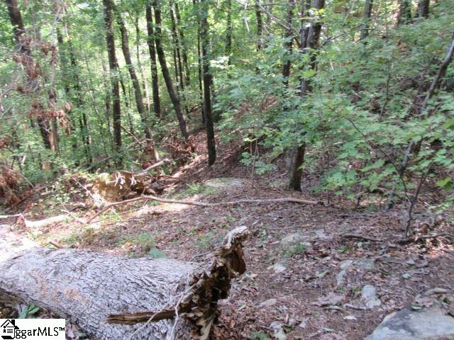 832 Whispering Falls, Pickens, South Carolina image 3