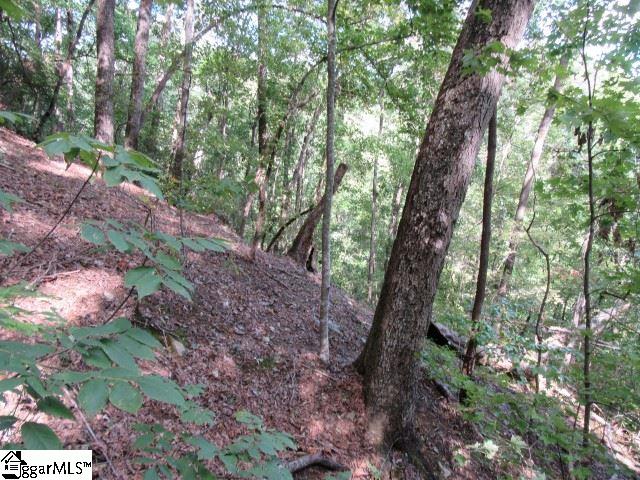 832 Whispering Falls, Pickens, South Carolina image 4