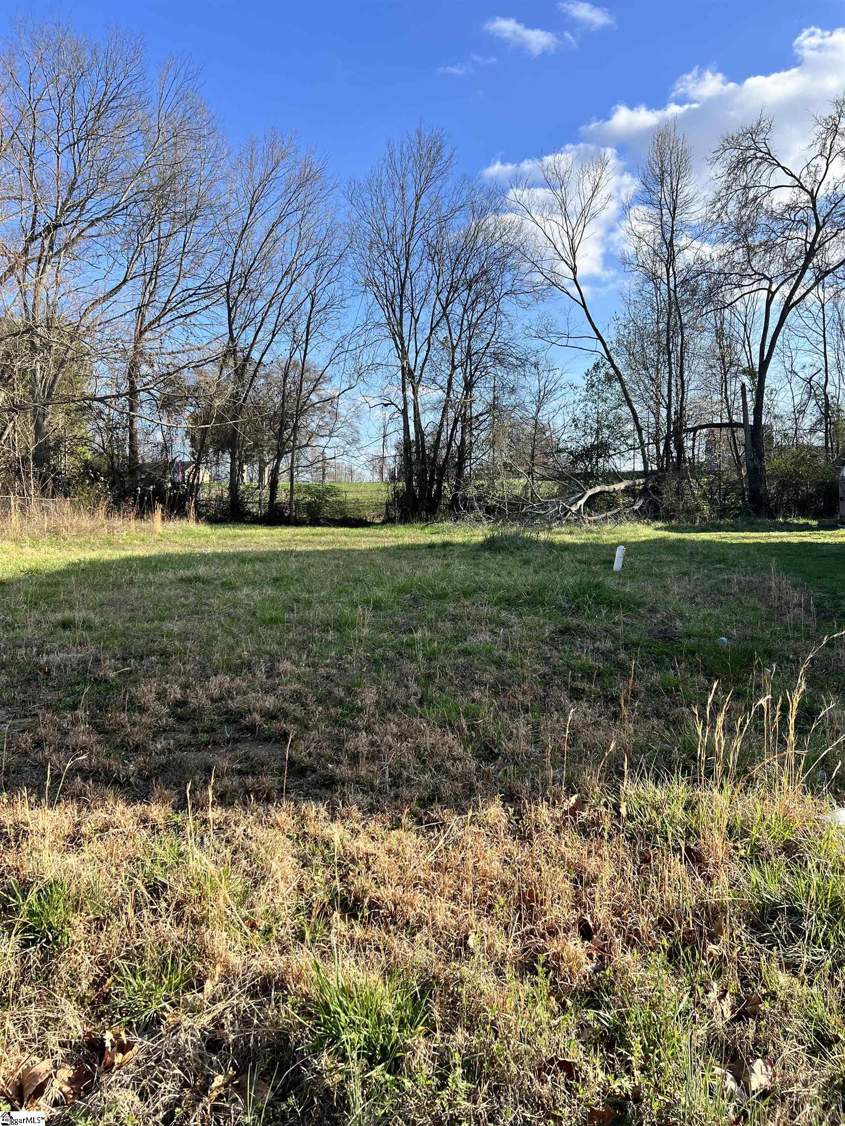 117 Milling Street, Clinton SC 29325