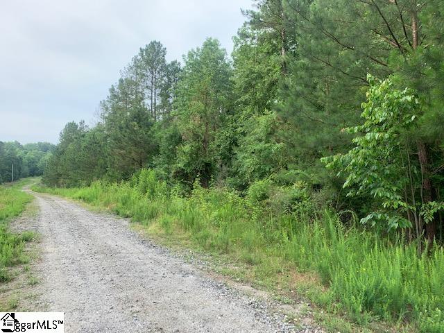 Lot12 Wlson Creek, Iva, South Carolina image 4