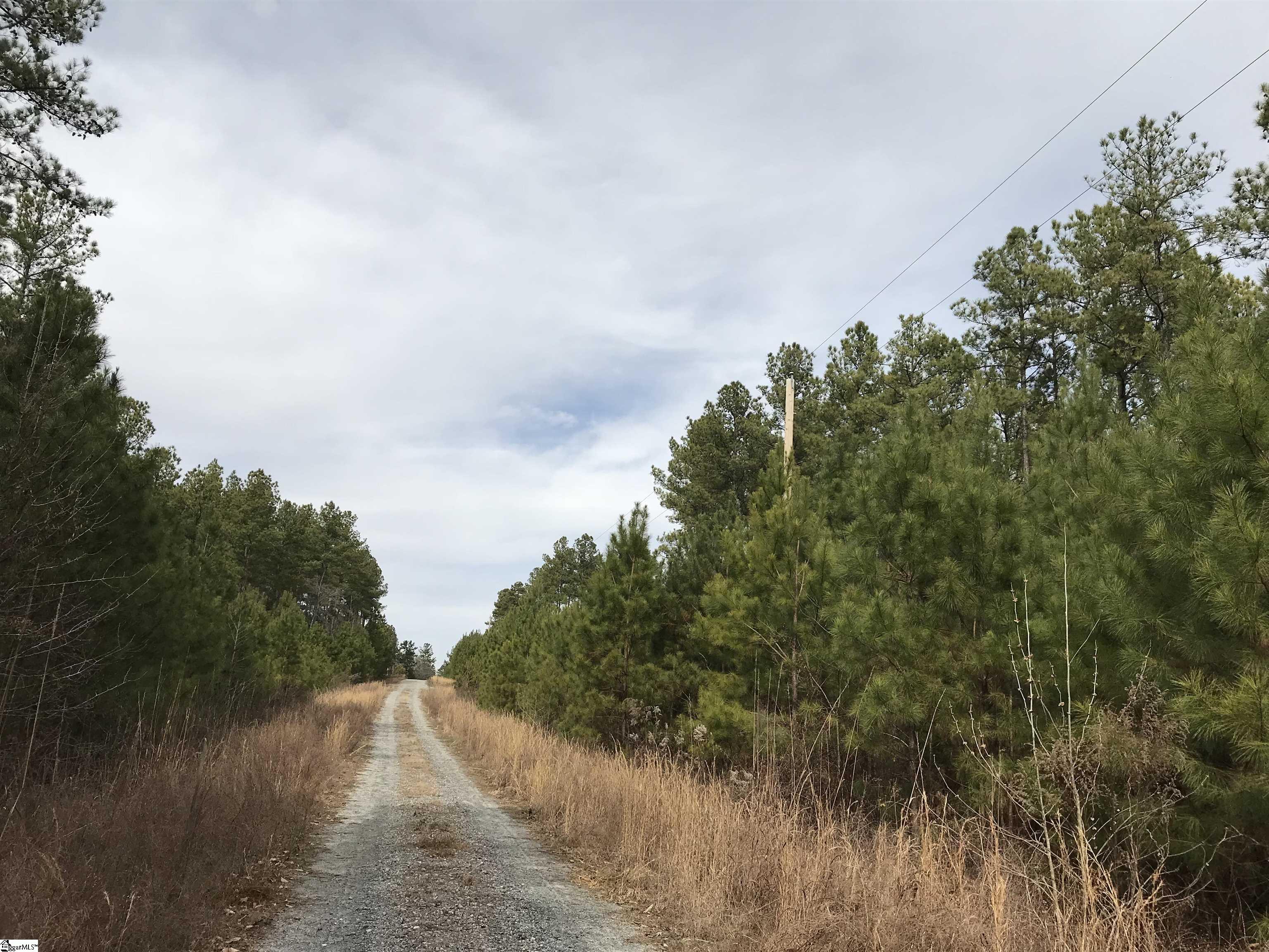 Lot12 Wlson Creek, Iva, South Carolina image 6