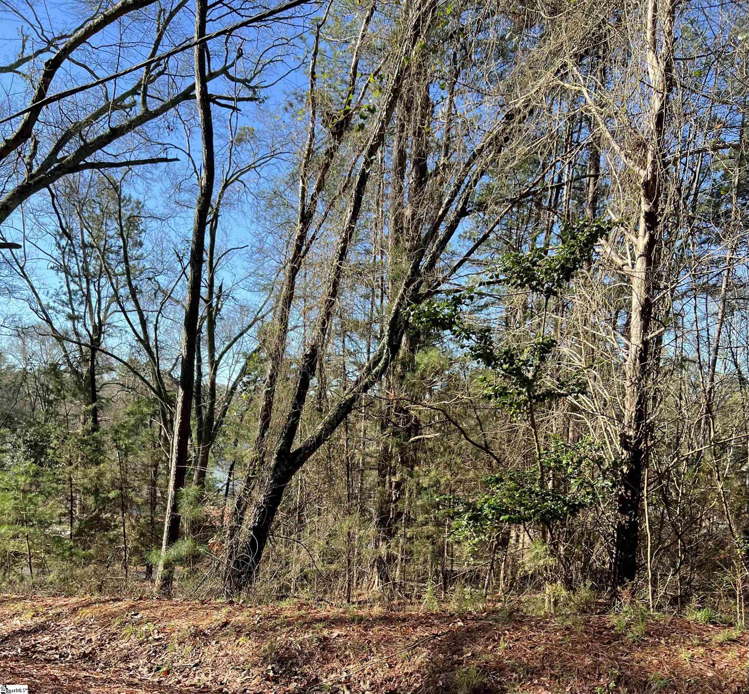 Lot 1+2 Trussell View Road Anderson, SC 29621