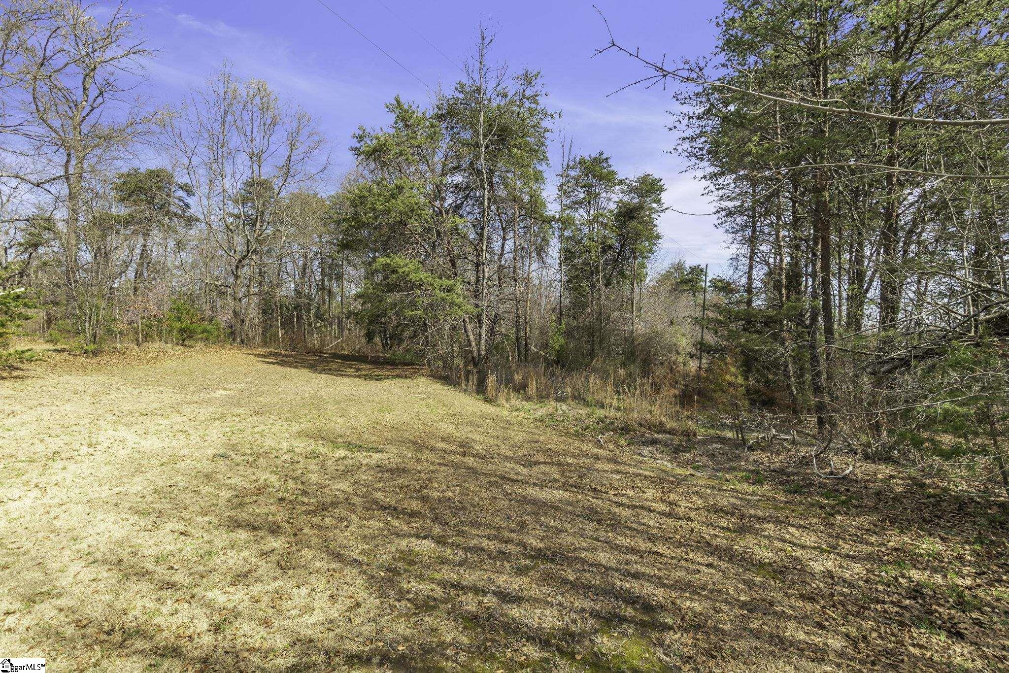 00 S Buckhorn, Greenville, South Carolina image 11