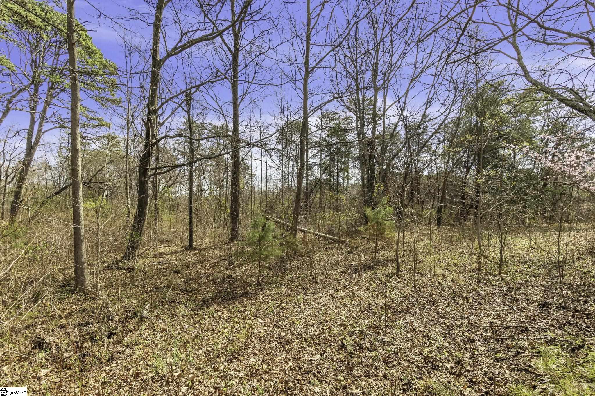 00 S Buckhorn, Greenville, South Carolina image 9