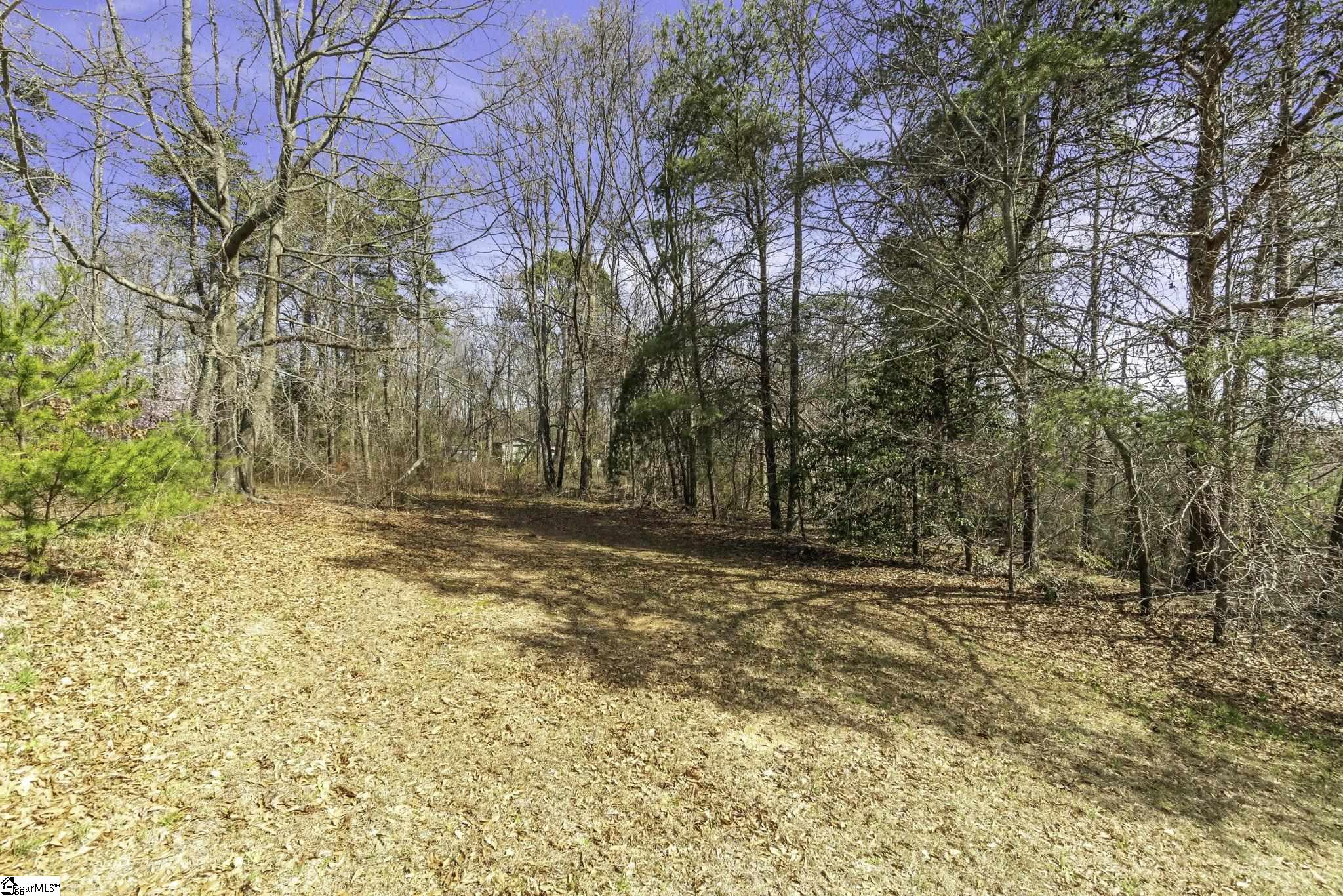 00 S Buckhorn, Greenville, South Carolina image 10