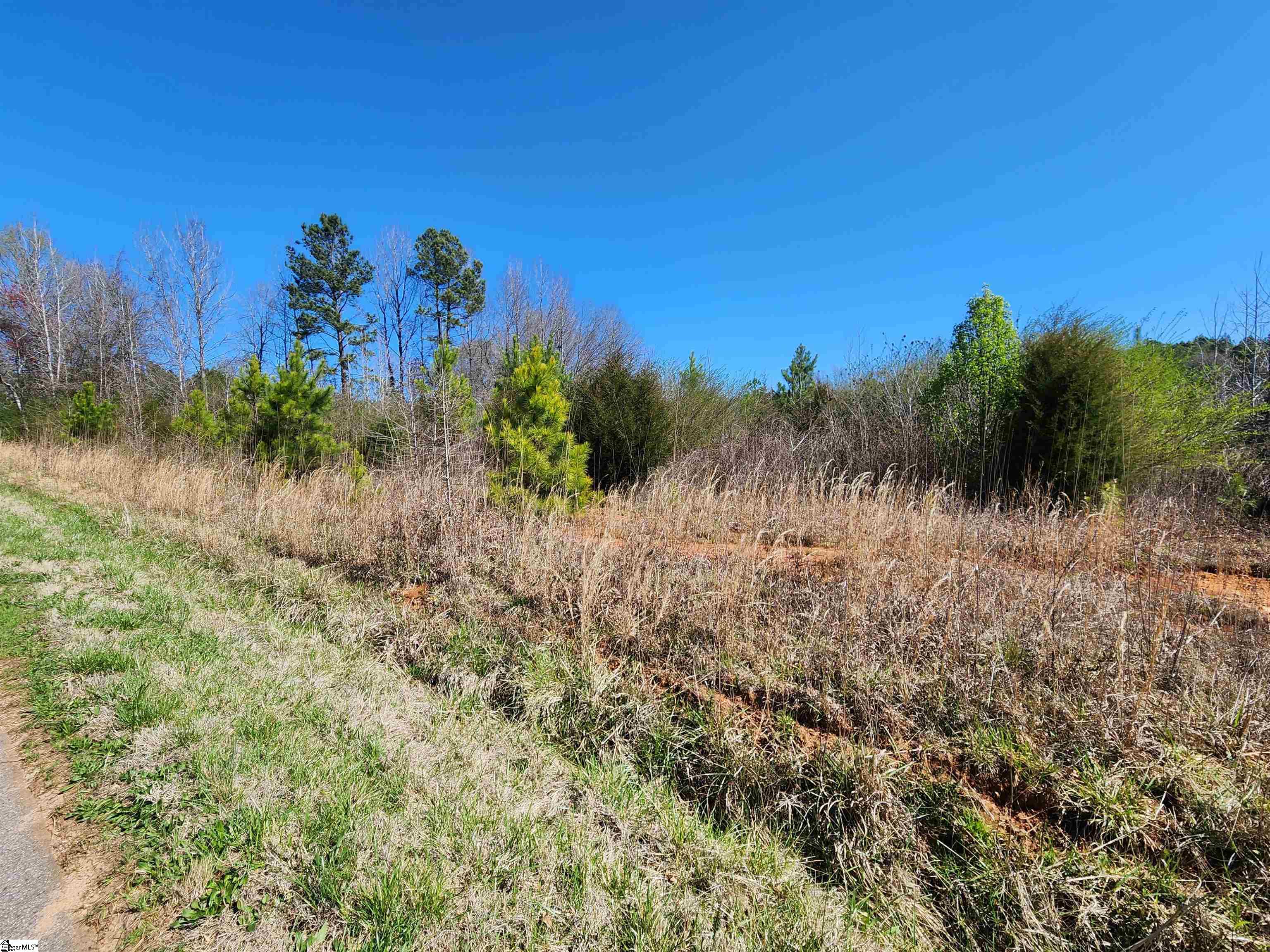 2196 Stewart Dairy Road, Fountain Inn SC 29644
