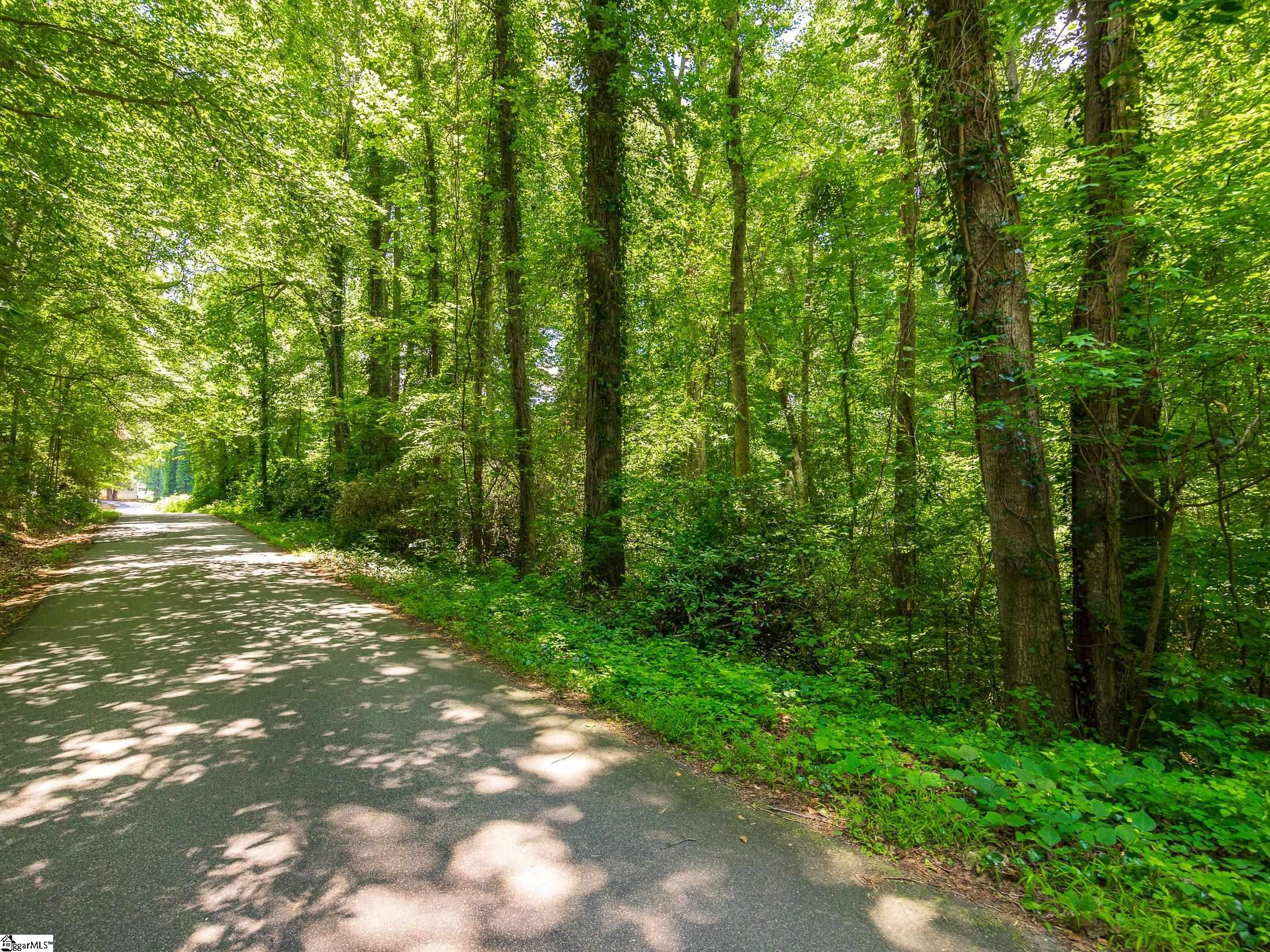 Greenway Street, Landrum SC 29356
