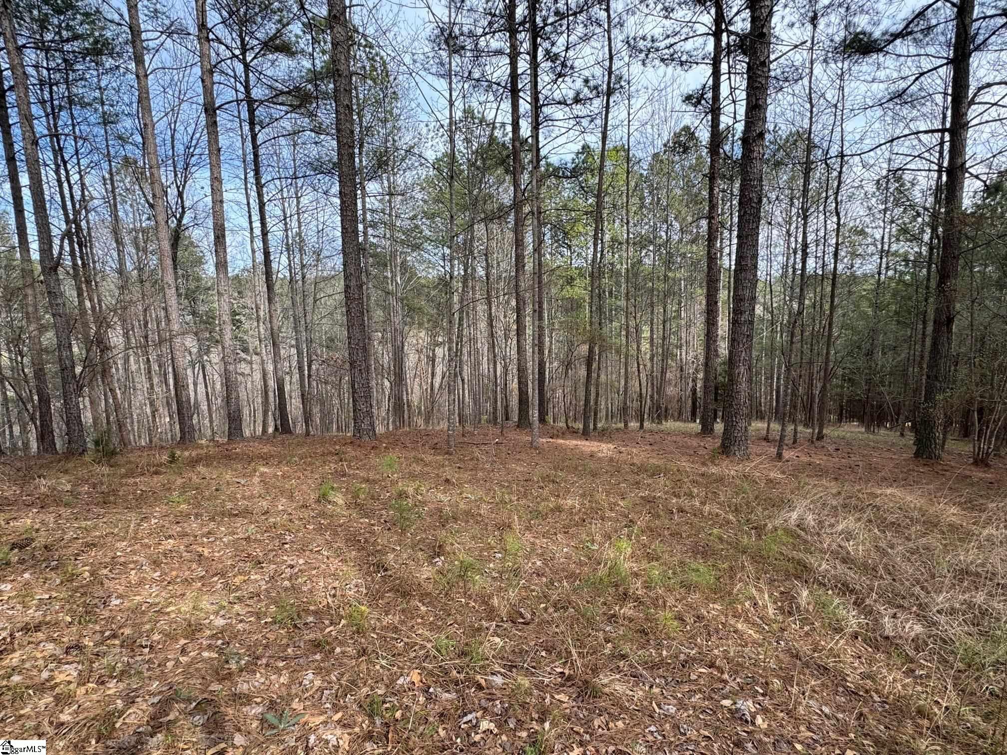 3+ acre estate lot with gentle slope building envelope, privacy, and beautiful hardwoods . This lot is less than 1/2 mile inside the main Springs gate affording easy access and egress to community amenities as well as nearby towns, only 15 minutes to Clemson. Great lot for a home and access to the many amenities offered by the Cliffs at Keowee Springs, including the new clubhouse, beach club, sportsman's trail, and other amenities.   If seeking even larger estate parcel, call listing agent about adjoining lots.  Cliffs membership available for separate purchase.