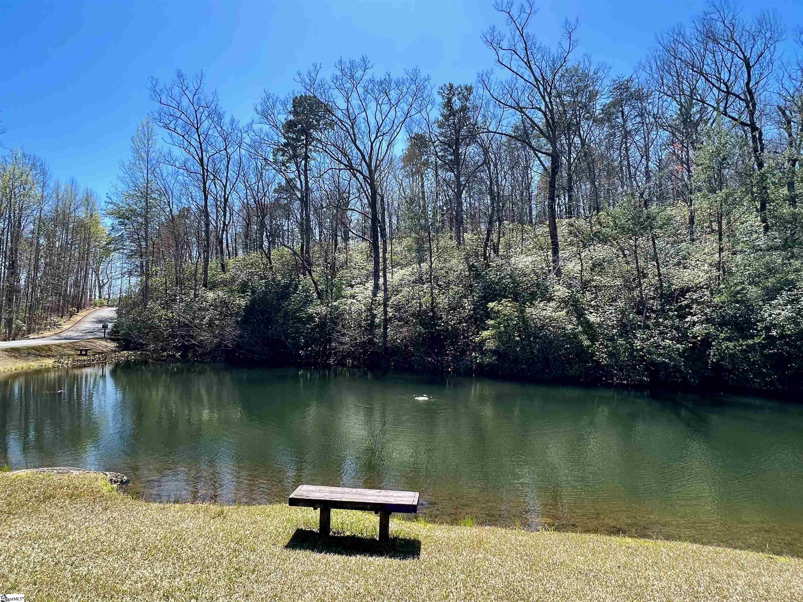 00 Woods Pond, Cleveland, South Carolina image 11