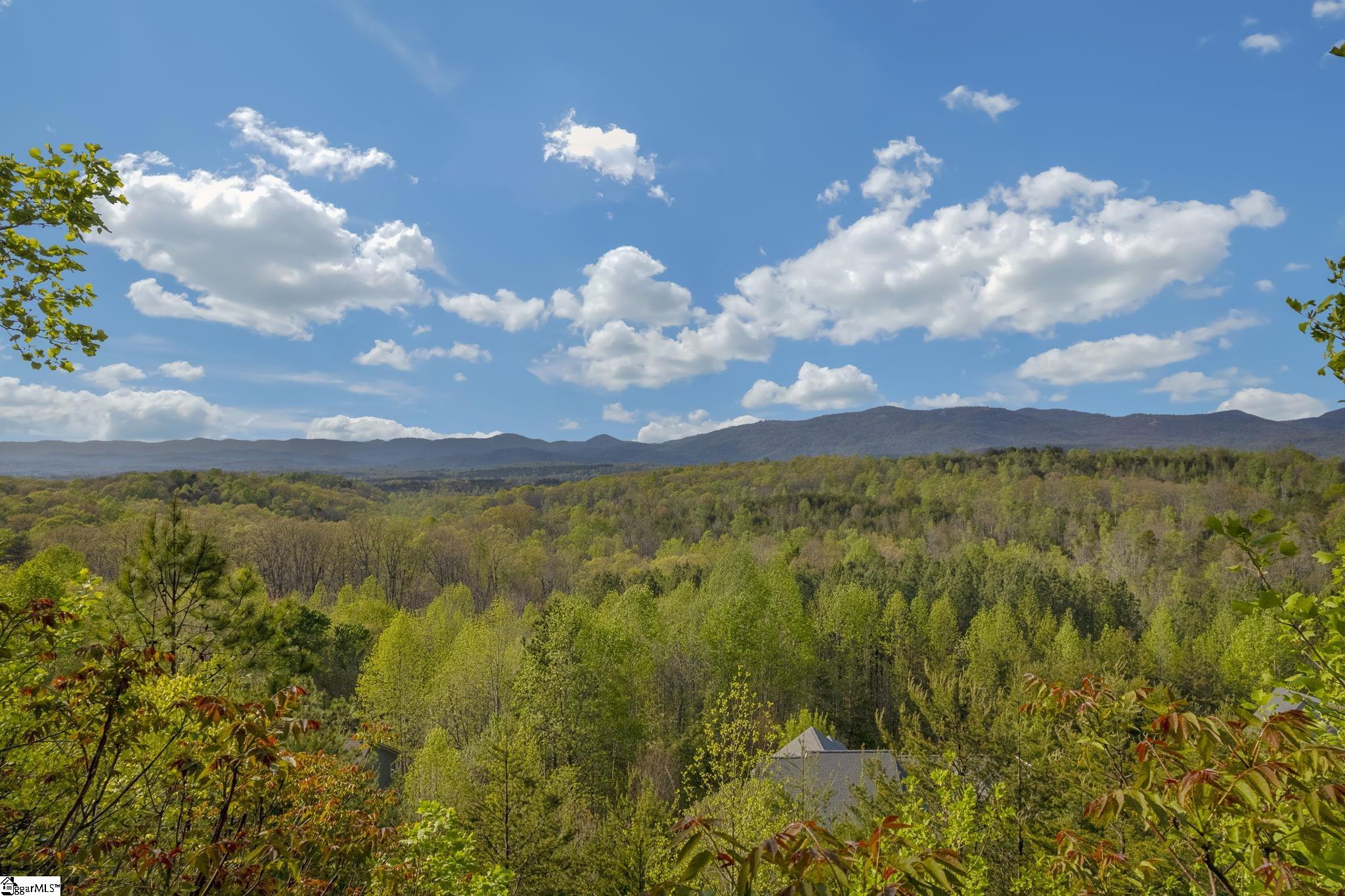 35 Packforest, Taylors, South Carolina image 1