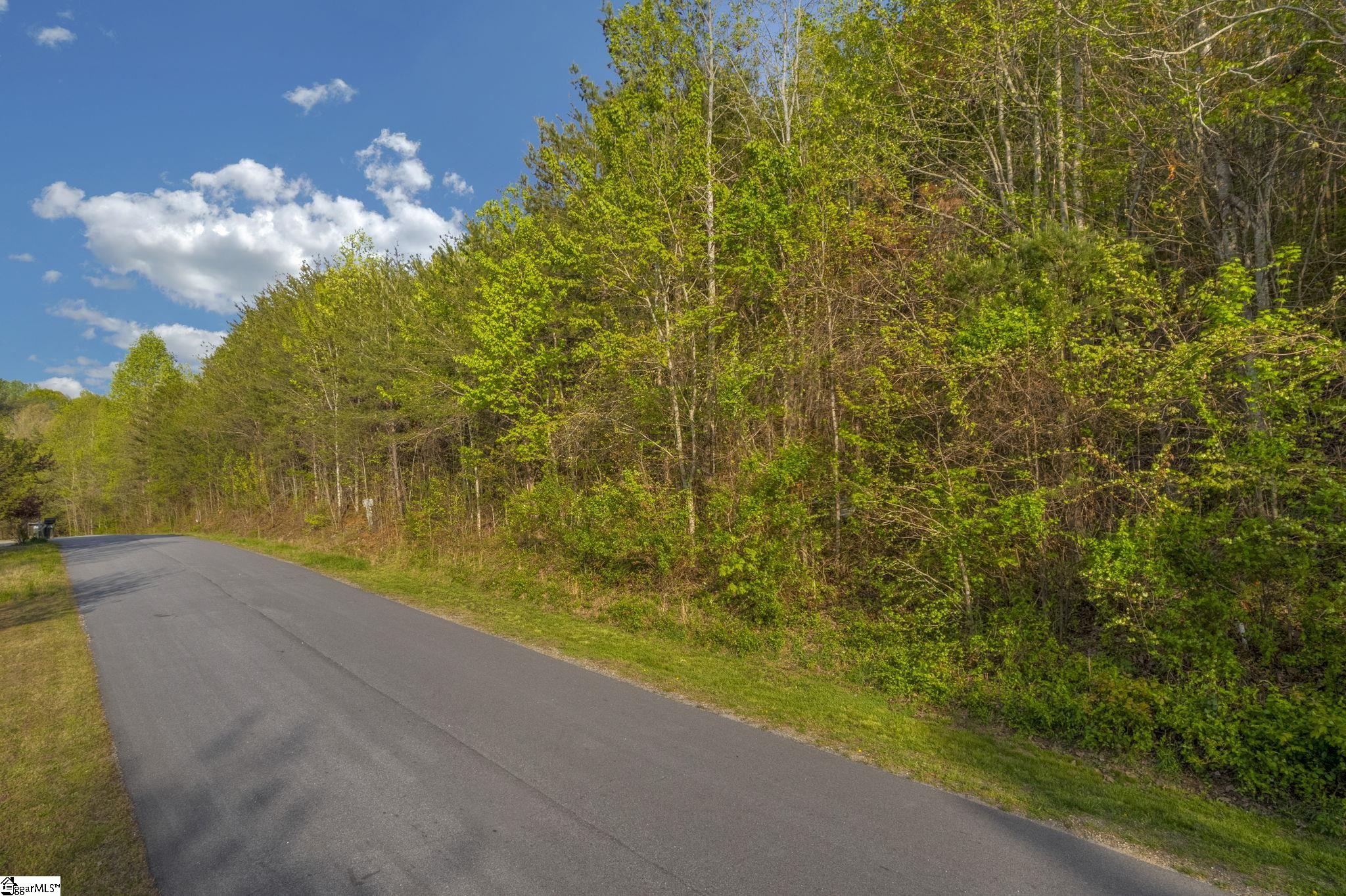 35 Packforest, Taylors, South Carolina image 2