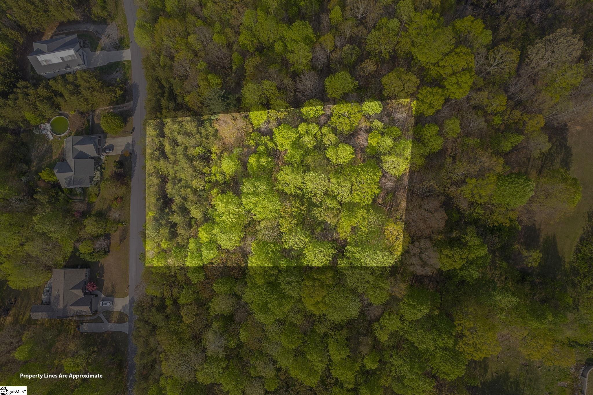 35 Packforest, Taylors, South Carolina image 11