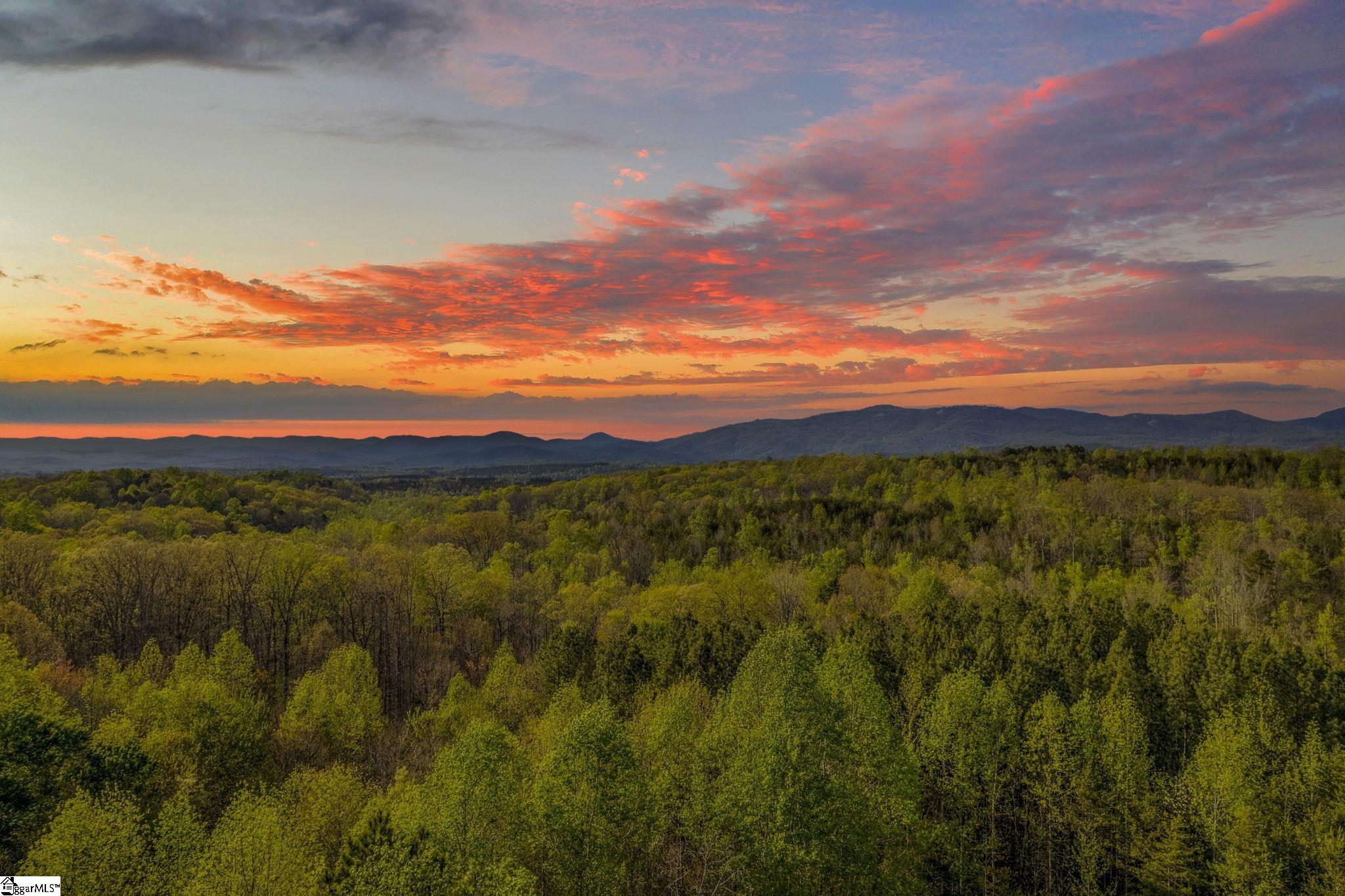 35 Packforest, Taylors, South Carolina image 12