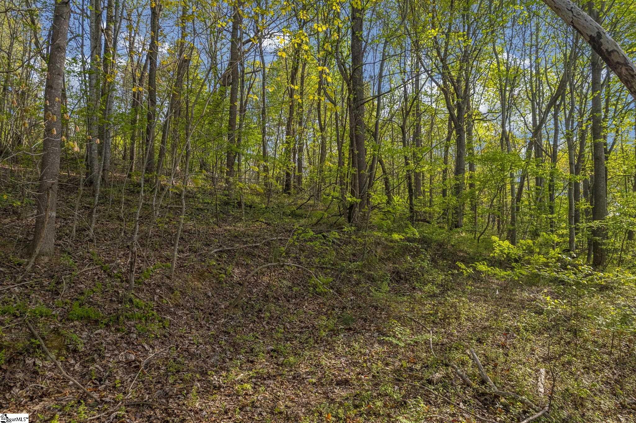 35 Packforest, Taylors, South Carolina image 3