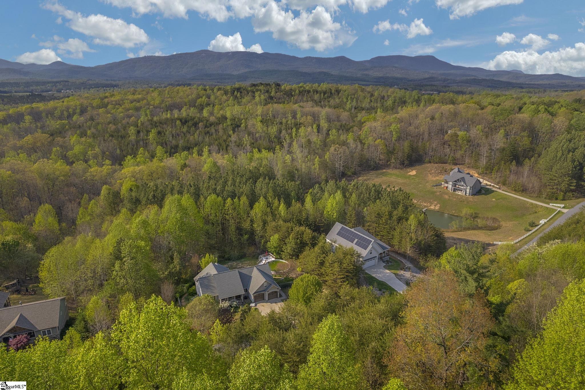 35 Packforest, Taylors, South Carolina image 4