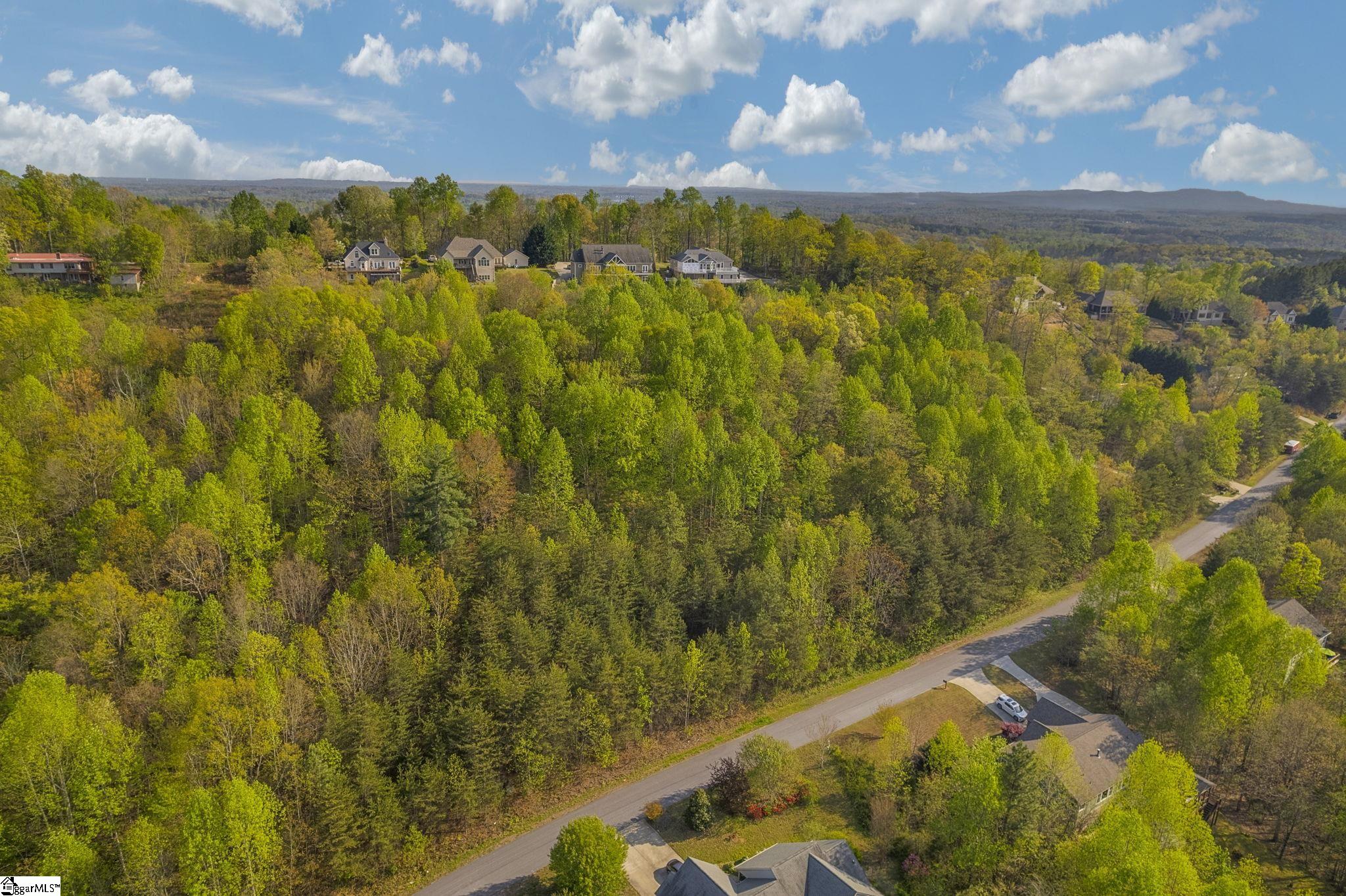 35 Packforest, Taylors, South Carolina image 5