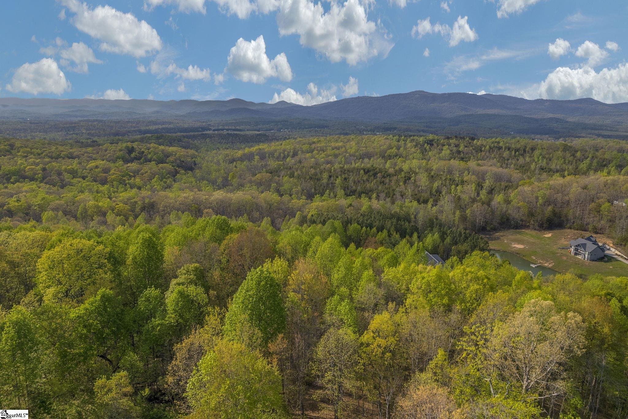 35 Packforest, Taylors, South Carolina image 6